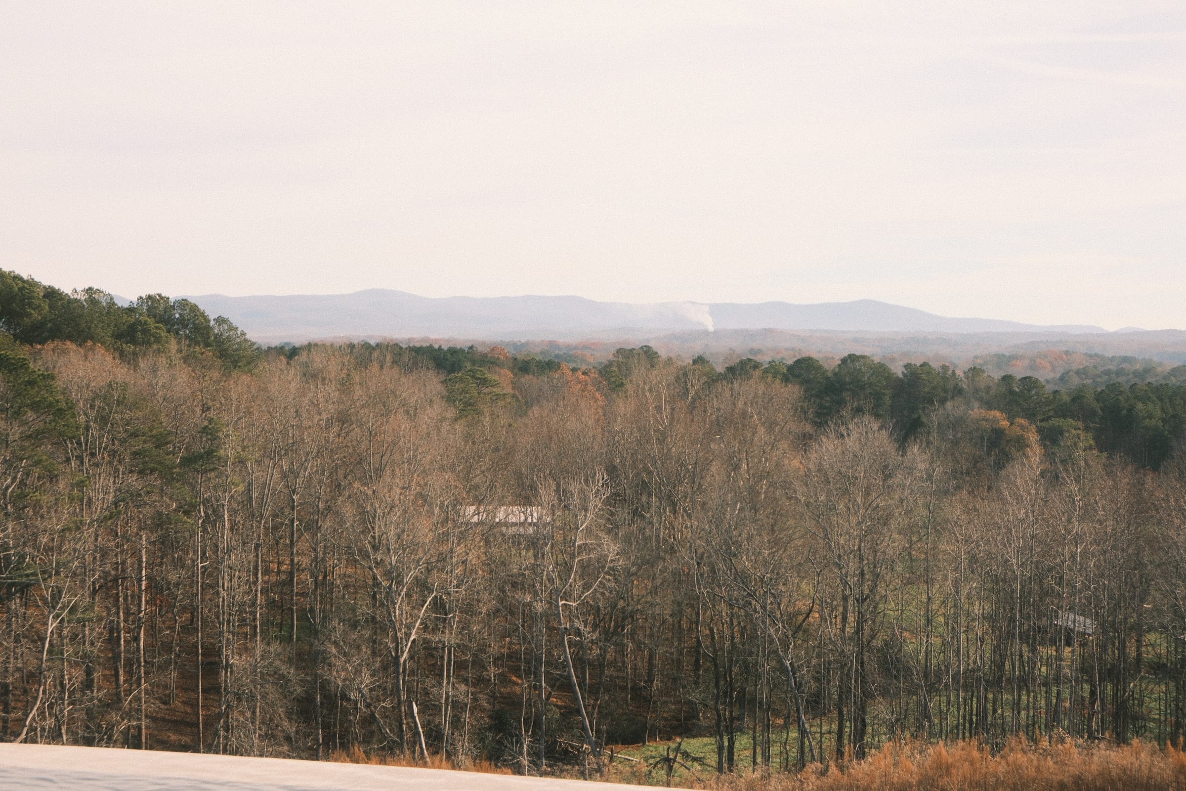 Mountain wedding at Peace of Joy Acres
